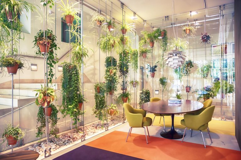 Sala de espera con plantas, mesa y sillas